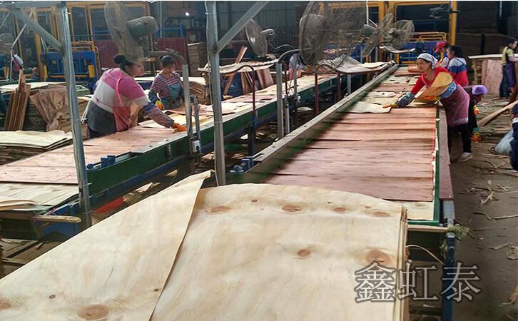 鑫虹泰建筑模板加工廠區