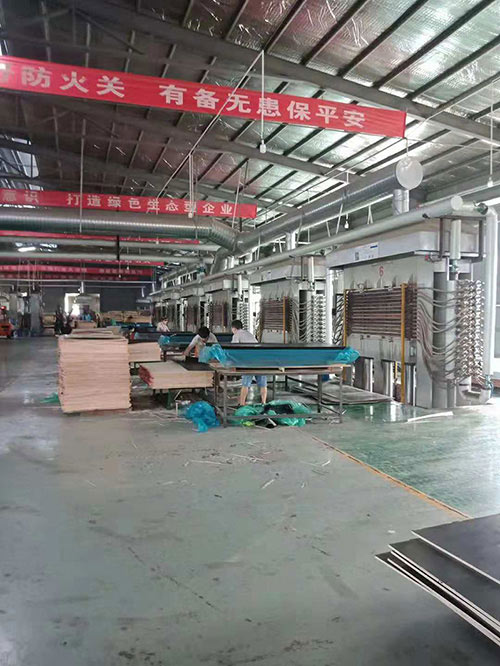 廣西建筑模板廠家鑫虹泰生產車間實拍