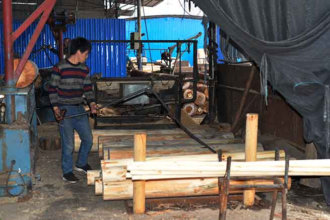 建筑膠合模板生產中