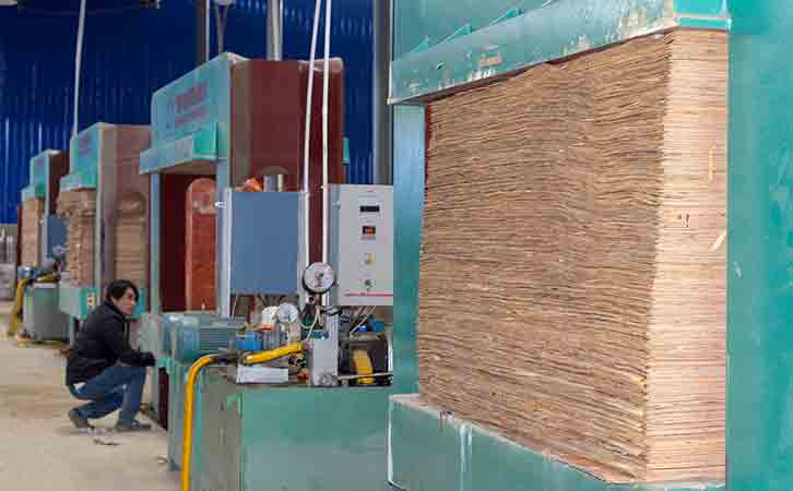 廣西建筑模板十大品牌-優**質廠家鑫虹泰的生產設備冷壓機