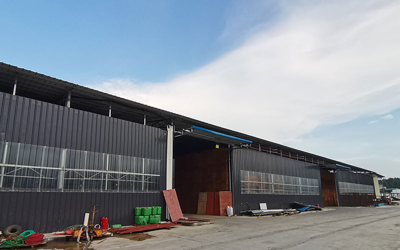 建筑木模板廠實拍